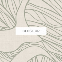 Ostreatus - Sage Green Wallpaper - Grafico Melbourne