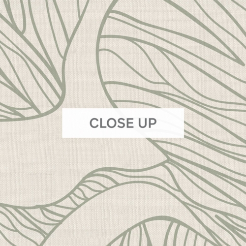 Ostreatus - Sage Green Wallpaper - Grafico Melbourne