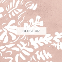 Sleepy Forest - Blush Wallpaper - Grafico Melbourne