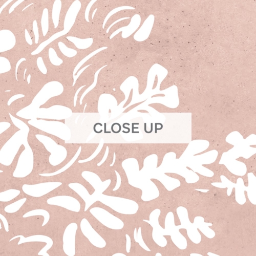Sleepy Forest - Blush Wallpaper - Grafico Melbourne
