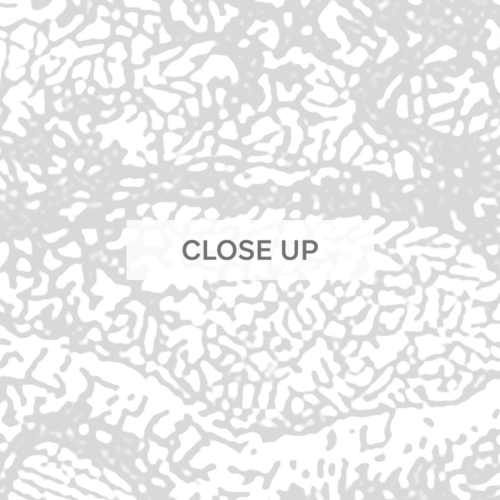 Twisted Trunk - Light Grey Wallpaper - Grafico Melbourne