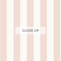 Vertical Stripe 60mm - Blush Wallpaper - Grafico Melbourne