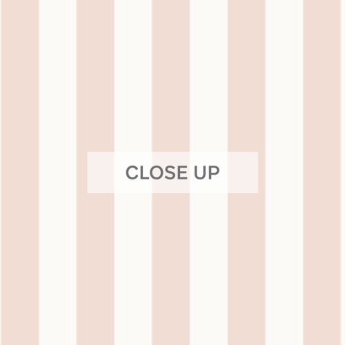 Vertical Stripe 60mm - Blush Wallpaper - Grafico Melbourne