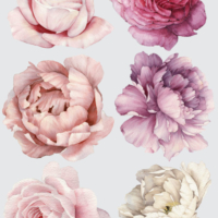 Watercolour Flowers Colour Kids Wall Decals - Grafico Melbourne