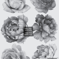 Watercolour Flowers - Monotone Kids Wall Decals - Grafico Melbourne
