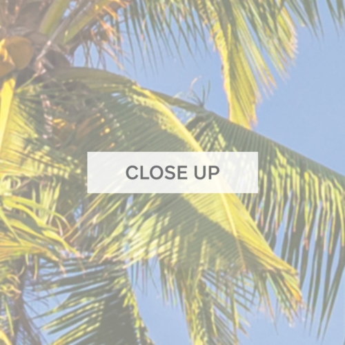 Welcome To Miami Wallpaper - Grafico Melbourne