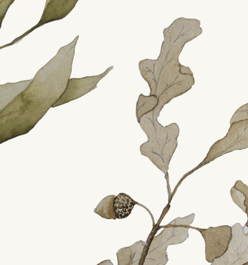 Whimsical Woodlands Wallpaper - Grafico Melbourne