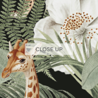 Wild Safari Jungle - Dark Kids Wallpaper - Grafico Melbourne