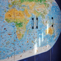 'Wild World' Map By Anton Thomas Wallpaper - Grafico Melbourne