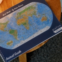 'Wild World' Map By Anton Thomas Wallpaper - Grafico Melbourne
