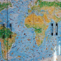 'Wild World' Map By Anton Thomas Wallpaper - Grafico Melbourne